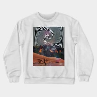 Desert Hallucination Crewneck Sweatshirt